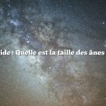 Réponse rapide : Quelle est la taille des ânes miniatures ?